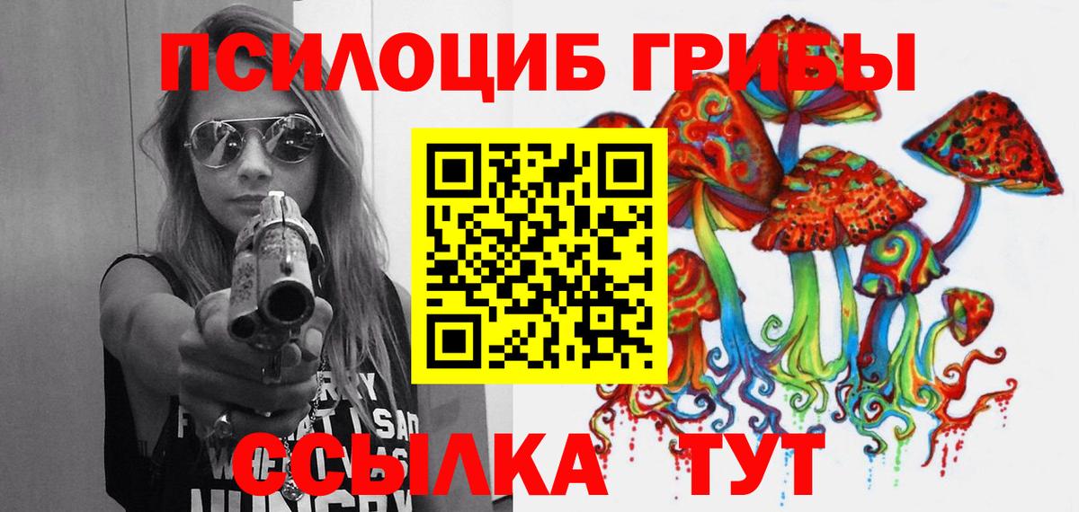 Галлюциногенные грибы Cubensis  Вход с VPN  Сызрань 